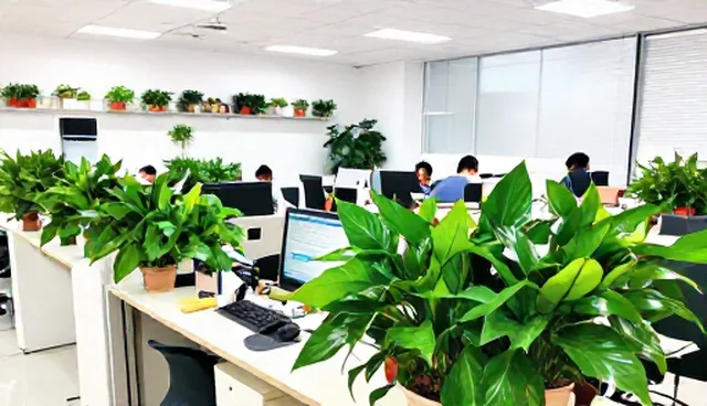 市场调研报告中的会务服务检查要点